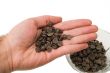 Handful of Chocolate Chips