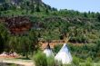 Tee Pees