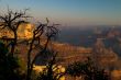 Landscape in Grand Canyon
