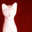 cat from porcelain