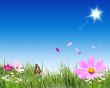 Summer time