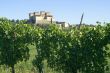 Castle of Torrechiara and vineyard