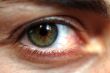close up eye green eye shot, detailed
