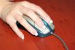 mouse in hand
