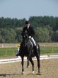 equestrian woman on black stallion horse