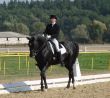 equestrian woman on black stallion horse