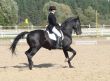 equestrian woman on black stallion horse