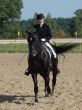 equestrian woman on black stallion horse