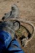 Cowgirl Boots and Rope