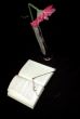 Open book and gerbera in vase
