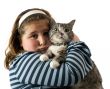 Child and Cat