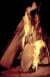 Firewood with flame