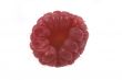 raspberry