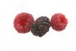 raspberry