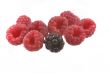 raspberry