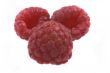 raspberry