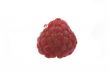 raspberry