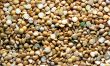 Dried pea background