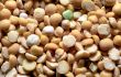 Dried pea closeup background