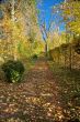 park path in autumn