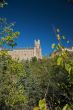 castle towers between trees
