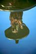 statues reflected on water