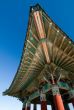 Asian Roofline Abstract