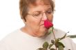 Attractive Senior Woman with Red Rose
