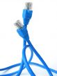 network cable