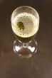 liquor-glass