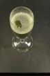 liquor-glass