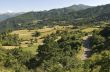 Passo del Cirone (Appennino) - Mountain landscape