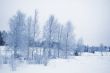 winter landscape / horizontal