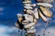 Wet stones