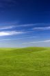 Green Meadow