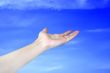 feminine hand