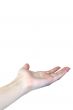 feminine hand