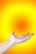 feminine hand