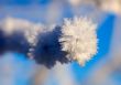 Hoarfrost close up