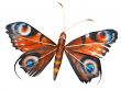 isolated artificial decorative butterfly figurine