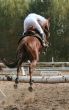equestrian jumping over barrier