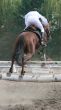 equestrian jumping over barrier