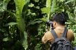 Tropical tourist taking photos