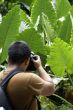 Tropical tourist taking photos