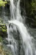 Waterfall amidst some greenery