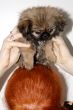small puppy