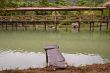 Wood arbor and walk bridge