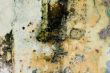 Grunge wall