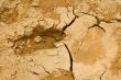 Footprint on mud