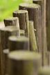 Line of wooden beams
